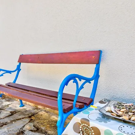 Wilma * ツリクヴェニツァ