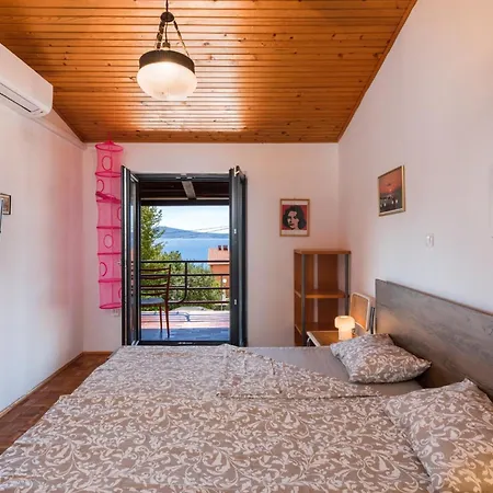 Wilma ツリクヴェニツァ